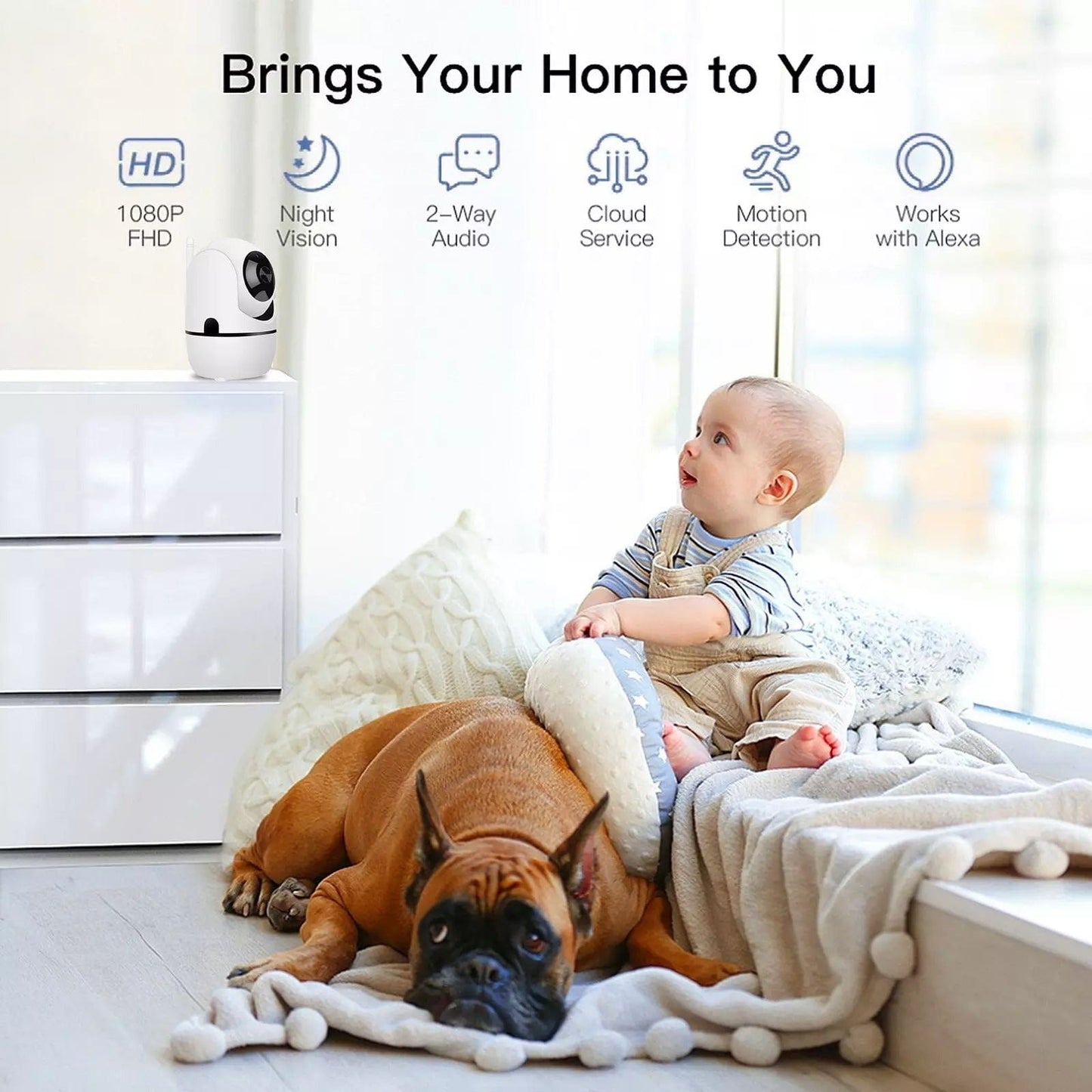 Pet Monitoring Camera