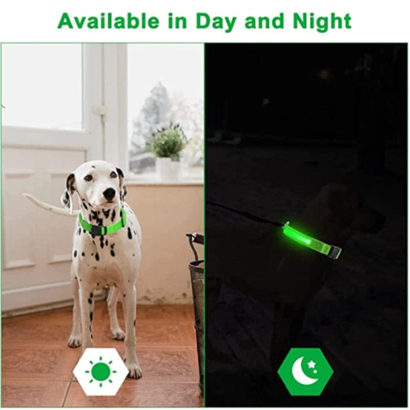 LED Glowing Collar