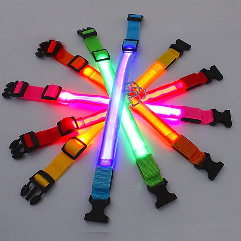 LED Glowing Collar