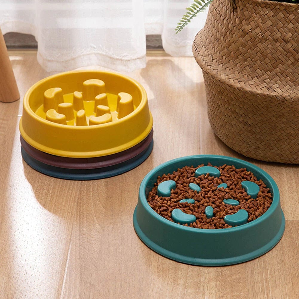 Dog Slow Feeder Bowl