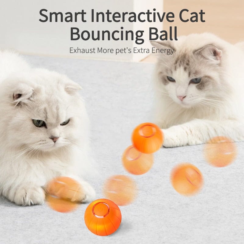 Interactive Bouncing Ball